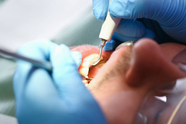 Best Emergency Orthodontic Services in Johnsonburg, PA